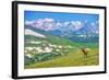 Lonely Elk Alpine Meadow-duallogic-Framed Photographic Print