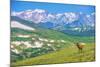 Lonely Elk Alpine Meadow-duallogic-Mounted Photographic Print