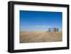 Lonely Garner in a Field-Michael Runkel-Framed Photographic Print