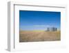 Lonely Garner in a Field-Michael Runkel-Framed Photographic Print