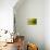 Lonely Green Drop-Heidi Westum-Photographic Print displayed on a wall