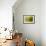 Lonely Green Drop-Heidi Westum-Framed Photographic Print displayed on a wall