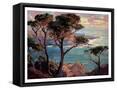 Framed Canvas