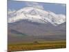 Lonely Hut in the High Atlas, Morocco, North Africa, Africa-Michael Runkel-Mounted Photographic Print