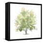 Lonely Oak II-Emma Scarvey-Framed Stretched Canvas