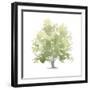 Lonely Oak II-Emma Scarvey-Framed Art Print