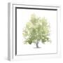 Lonely Oak II-Emma Scarvey-Framed Art Print