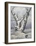 Lonely Oak In Winter Wood-balaikin2009-Framed Art Print