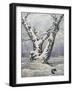 Lonely Oak In Winter Wood-balaikin2009-Framed Art Print