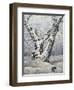 Lonely Oak In Winter Wood-balaikin2009-Framed Art Print