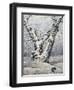 Lonely Oak In Winter Wood-balaikin2009-Framed Art Print