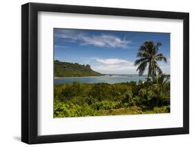 Lonely Palm Tree, Pohnpei (Ponape), Federated States of Micronesia-Michael Runkel-Framed Photographic Print