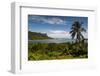 Lonely Palm Tree, Pohnpei (Ponape), Federated States of Micronesia-Michael Runkel-Framed Photographic Print