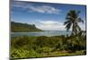 Lonely Palm Tree, Pohnpei (Ponape), Federated States of Micronesia-Michael Runkel-Mounted Photographic Print