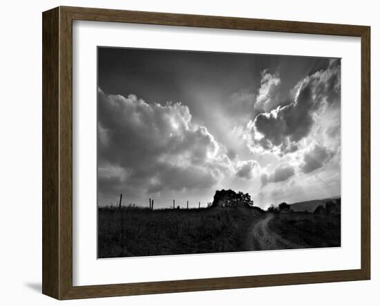 Lonely Path I-Martin Henson-Framed Photographic Print