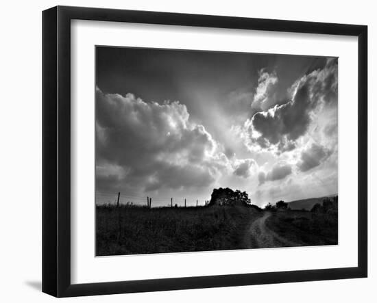 Lonely Path I-Martin Henson-Framed Photographic Print