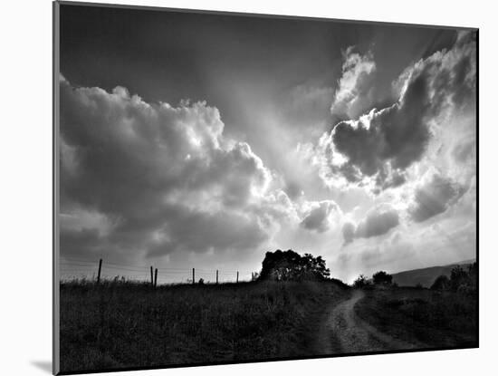 Lonely Path I-Martin Henson-Mounted Photographic Print