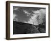 Lonely Path II-Martin Henson-Framed Photographic Print