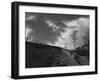 Lonely Path II-Martin Henson-Framed Photographic Print