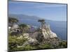 Lonely Pine on 17 Mile Drive Near Monterey, California, United States of America, North America-Donald Nausbaum-Mounted Photographic Print