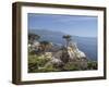 Lonely Pine on 17 Mile Drive Near Monterey, California, United States of America, North America-Donald Nausbaum-Framed Photographic Print