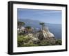 Lonely Pine on 17 Mile Drive Near Monterey, California, United States of America, North America-Donald Nausbaum-Framed Photographic Print