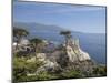 Lonely Pine on 17 Mile Drive Near Monterey, California, United States of America, North America-Donald Nausbaum-Mounted Photographic Print