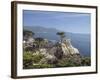 Lonely Pine on 17 Mile Drive Near Monterey, California, United States of America, North America-Donald Nausbaum-Framed Photographic Print