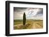 Lonely tree and asphalt road in the gentle green hills of Val d'Orcia, UNESCO World Heritage Site, -Roberto Moiola-Framed Photographic Print