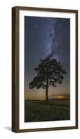 Lonely Tree in a Field at Night under the Milky Way in Vyazma, Russia-Stocktrek Images-Framed Photographic Print