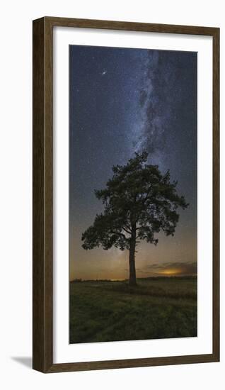Lonely Tree in a Field at Night under the Milky Way in Vyazma, Russia-Stocktrek Images-Framed Photographic Print