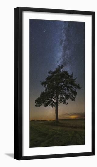 Lonely Tree in a Field at Night under the Milky Way in Vyazma, Russia-Stocktrek Images-Framed Photographic Print