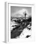 Lonely Tree in Rannoch Moor, Scotland, UK-Nadia Isakova-Framed Photographic Print