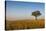 Lonely Tree in the Savannah of the Murchison Falls National Park, Uganda, East Africa, Africa-Michael Runkel-Stretched Canvas
