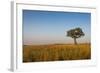 Lonely Tree in the Savannah of the Murchison Falls National Park, Uganda, East Africa, Africa-Michael Runkel-Framed Photographic Print