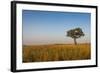 Lonely Tree in the Savannah of the Murchison Falls National Park, Uganda, East Africa, Africa-Michael Runkel-Framed Photographic Print