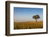 Lonely Tree in the Savannah of the Murchison Falls National Park, Uganda, East Africa, Africa-Michael Runkel-Framed Photographic Print