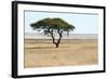 Lonely Tree Landscape-Grobler du Preez-Framed Photographic Print