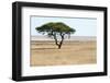 Lonely Tree Landscape-Grobler du Preez-Framed Photographic Print