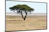 Lonely Tree Landscape-Grobler du Preez-Mounted Photographic Print