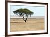 Lonely Tree Landscape-Grobler du Preez-Framed Photographic Print