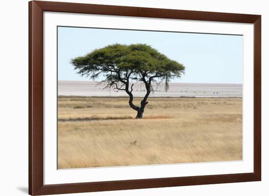 Lonely Tree Landscape-Grobler du Preez-Framed Photographic Print