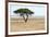 Lonely Tree Landscape-Grobler du Preez-Framed Photographic Print