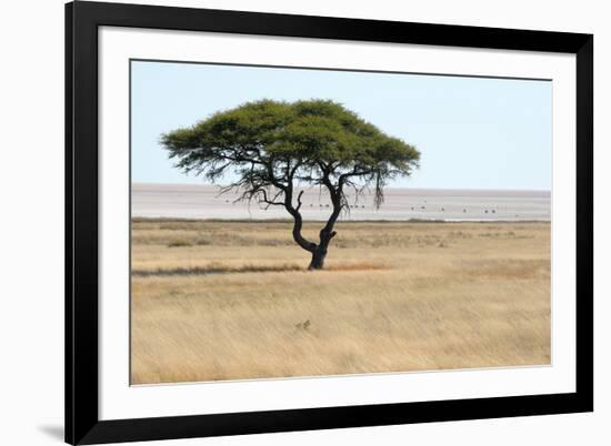 Lonely Tree Landscape-Grobler du Preez-Framed Photographic Print