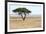 Lonely Tree Landscape-Grobler du Preez-Framed Photographic Print