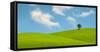 Lonely Tree on Lush Green Grass in Front of Blue Sky on a Hill in Tuscany Countryside, Italy-yalcinsonat1-Framed Stretched Canvas