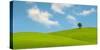 Lonely Tree on Lush Green Grass in Front of Blue Sky on a Hill in Tuscany Countryside, Italy-yalcinsonat1-Stretched Canvas