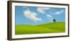 Lonely Tree on Lush Green Grass in Front of Blue Sky on a Hill in Tuscany Countryside, Italy-yalcinsonat1-Framed Photographic Print