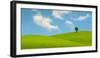 Lonely Tree on Lush Green Grass in Front of Blue Sky on a Hill in Tuscany Countryside, Italy-yalcinsonat1-Framed Photographic Print