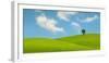 Lonely Tree on Lush Green Grass in Front of Blue Sky on a Hill in Tuscany Countryside, Italy-yalcinsonat1-Framed Photographic Print